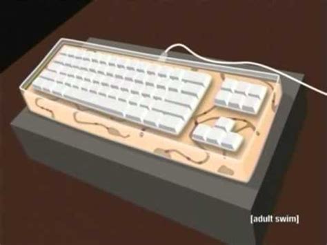 ant farm keyboard